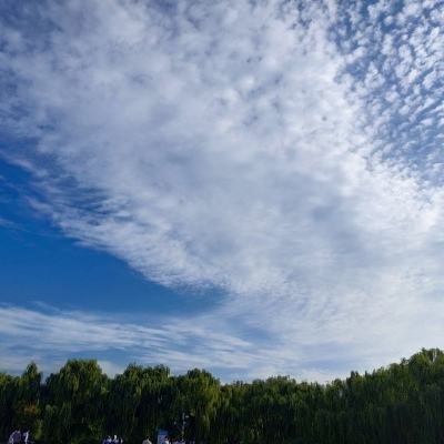 暗区突围官方版本下载