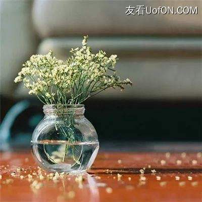 神之荣耀变态果盘版下载